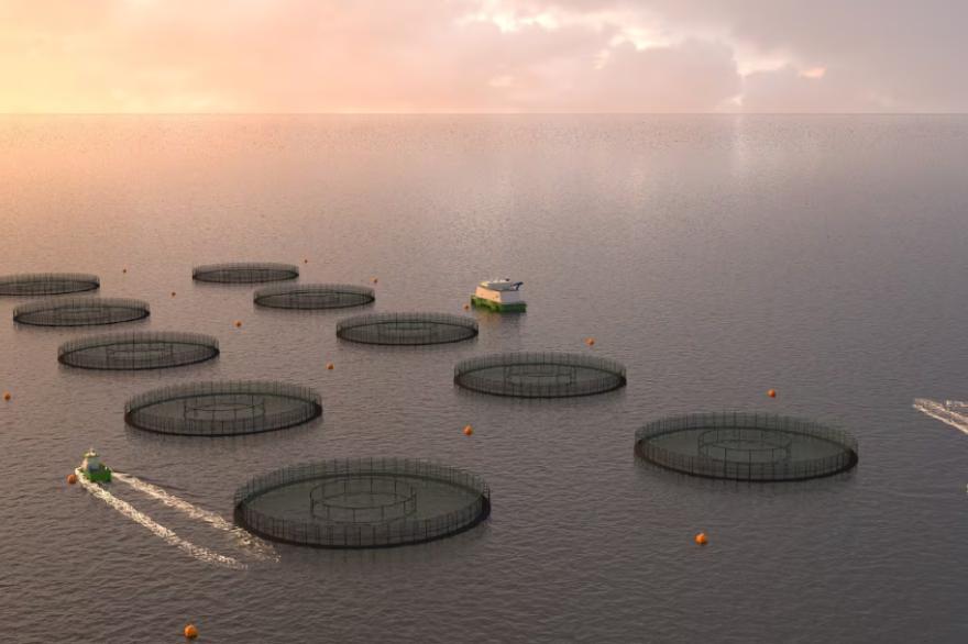 Centro de cultivo de salmones en aguas del sur de Chile